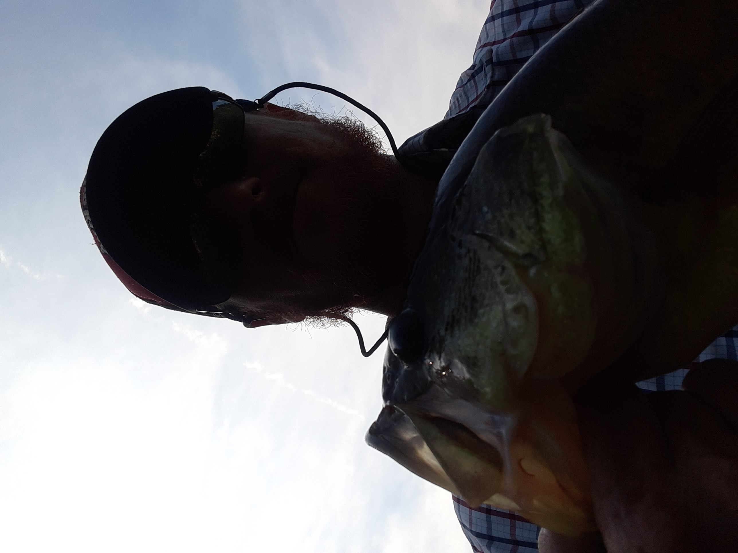 Carlyle Lake Fishing Report for Largemouth Bass(Aug 13, 2022) Omnia