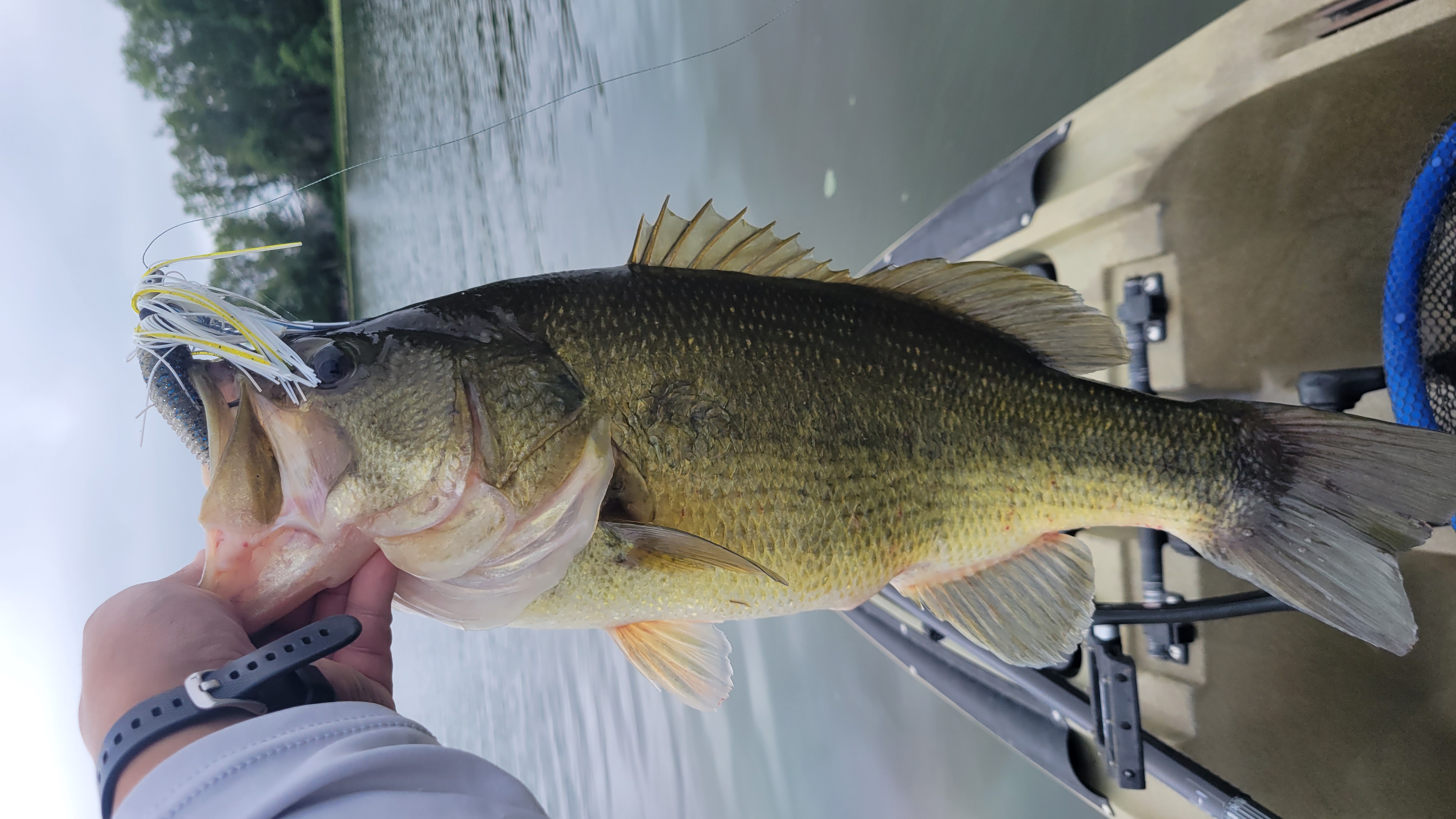 Rush Lake Fishing Report for Largemouth Bass(Aug 18, 2022) | Omnia Fishing