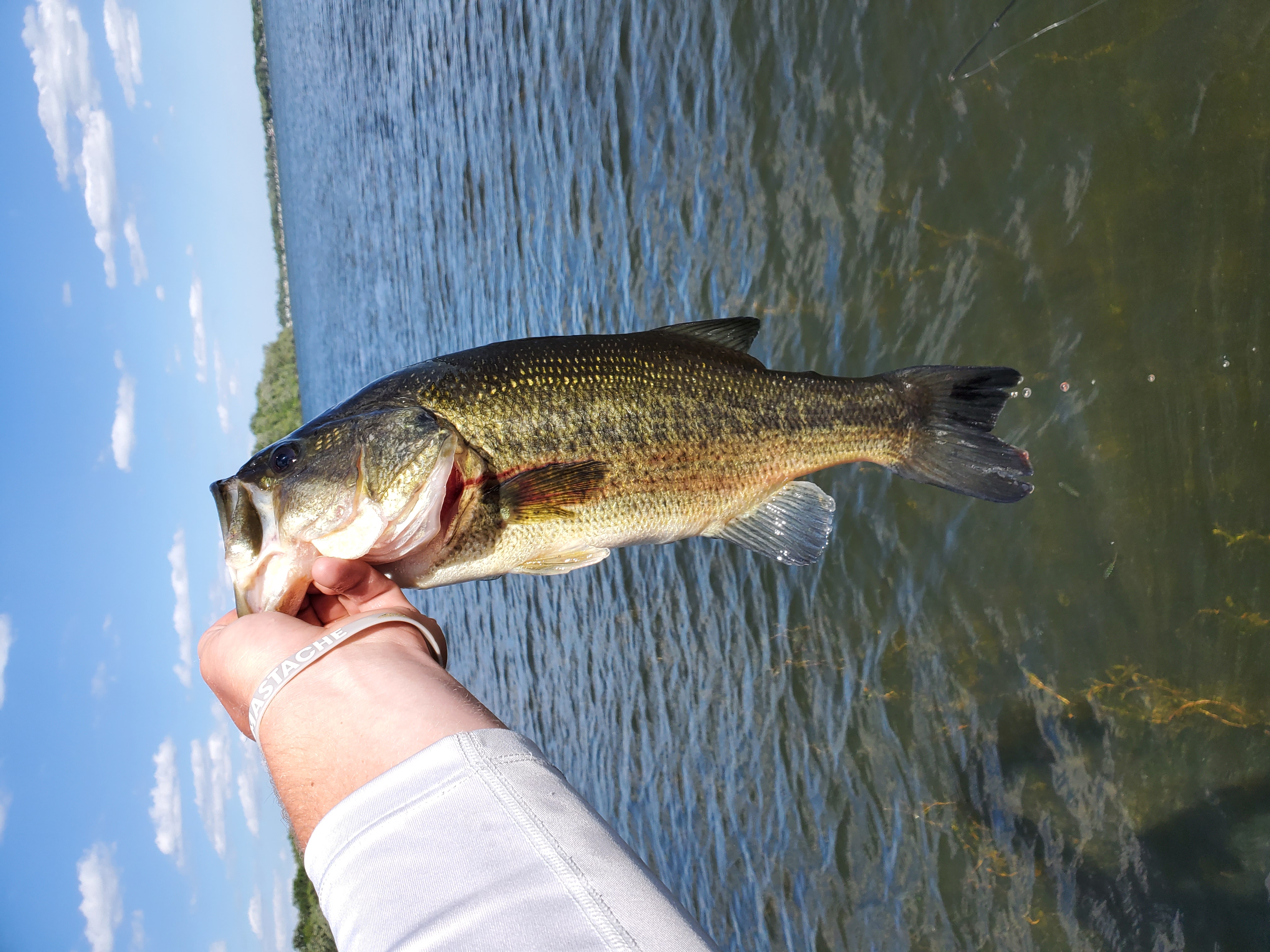 Roberds Lake | Omnia Fishing