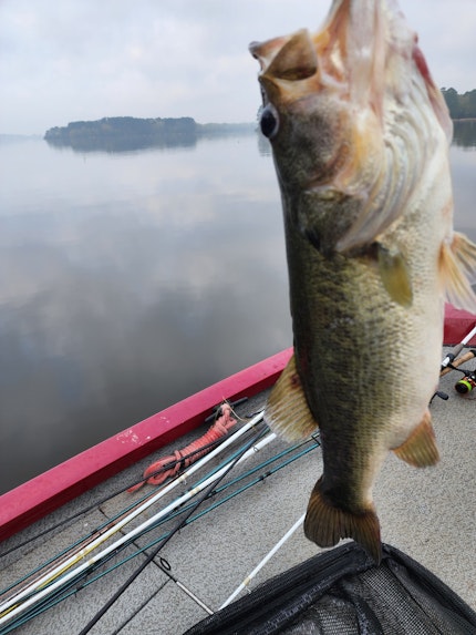 Houston County Lake Fishing Report for Largemouth Bass(Mar 11, 2023)