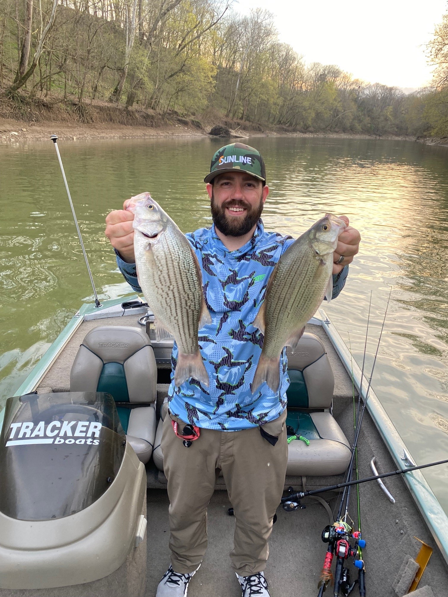 Herrington Lake Fishing Report for White Bass(Apr 5, 2023) | Omnia Fishing