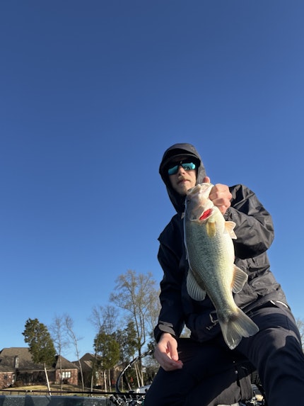 Old Hickory Lake Fishing Report for Largemouth Bass(Apr 5, 2023