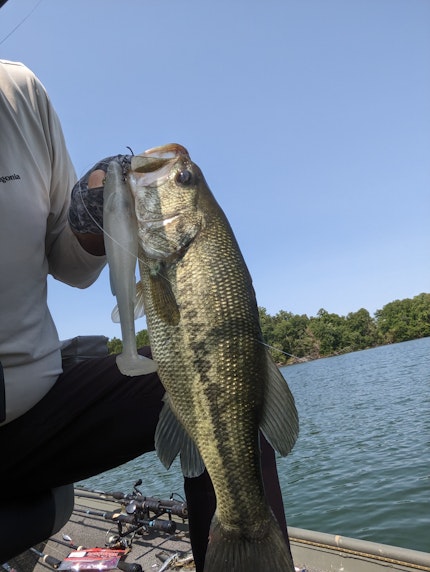 Loch Raven Reservoir Fishing Report for Largemouth Bass(May 15, 2023)