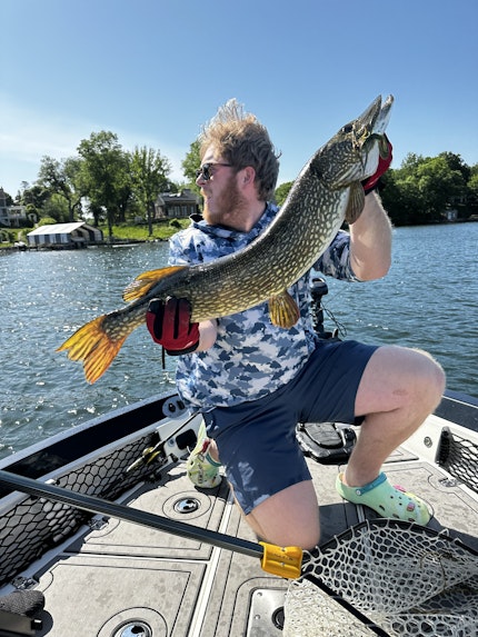 Berkley - PowerBait Chigger Craw 3 Green Pumpkin