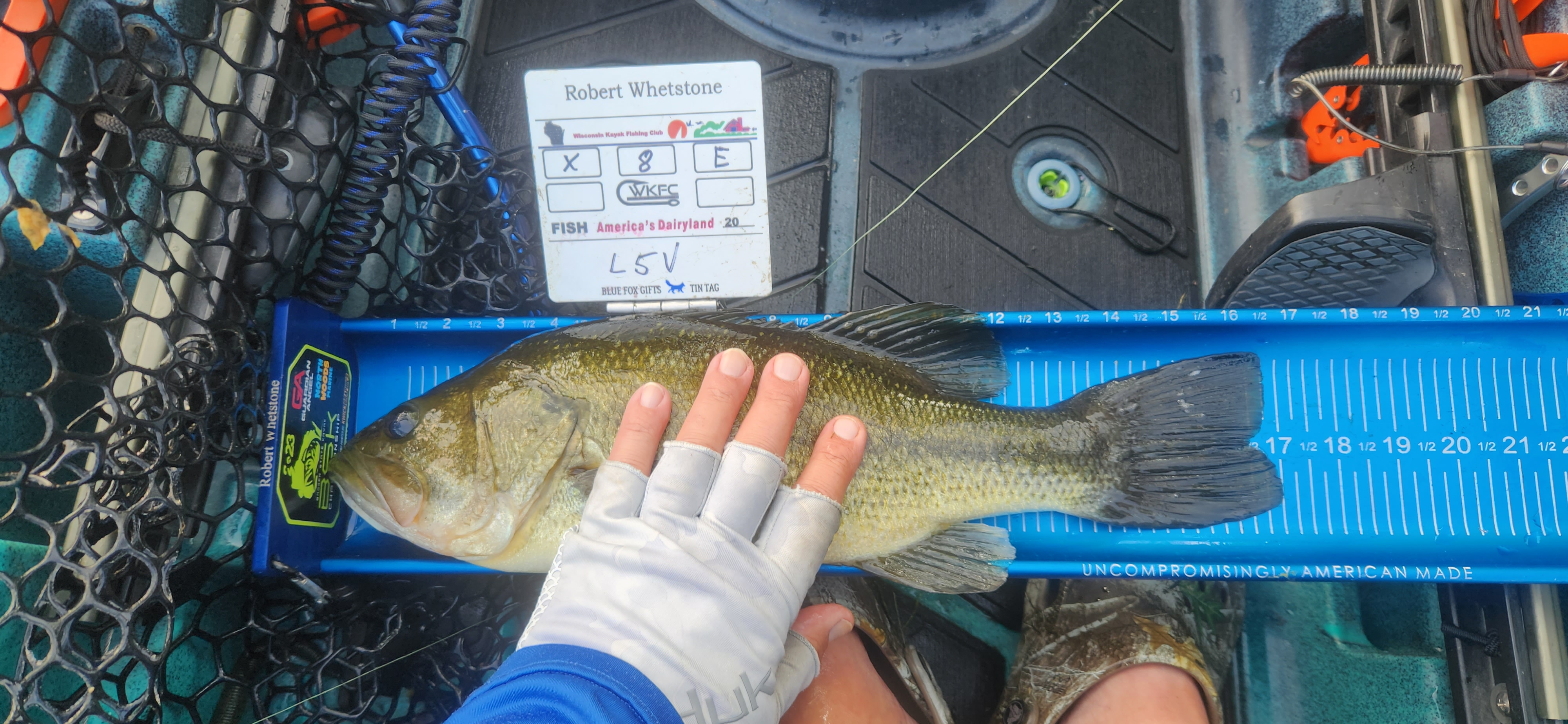 Lake Mendota Fishing Report for Largemouth Bass(Jun 28, 2023) Omnia Fishing