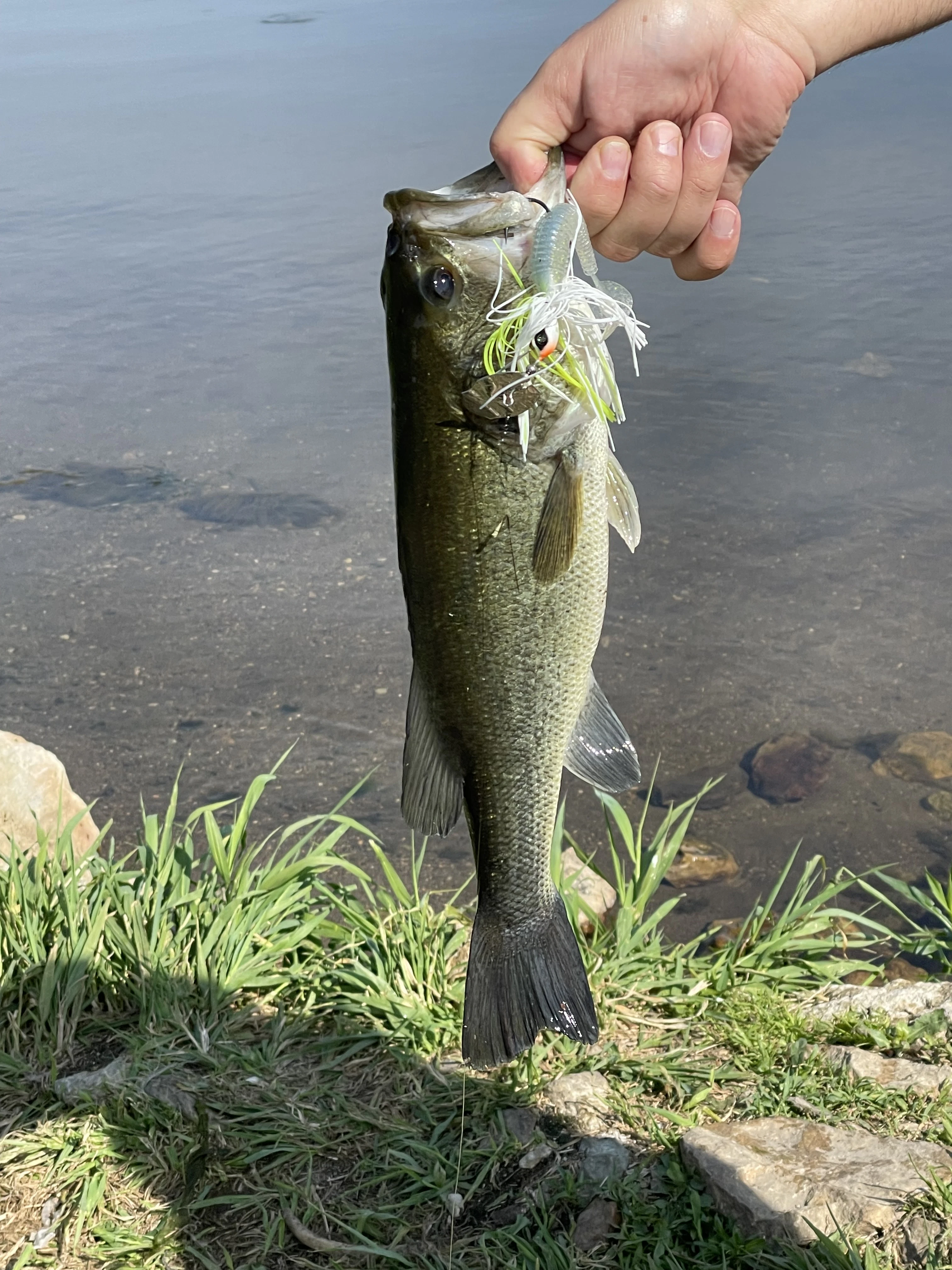 Fish Trap Lake Fishing Reports | Omnia Fishing