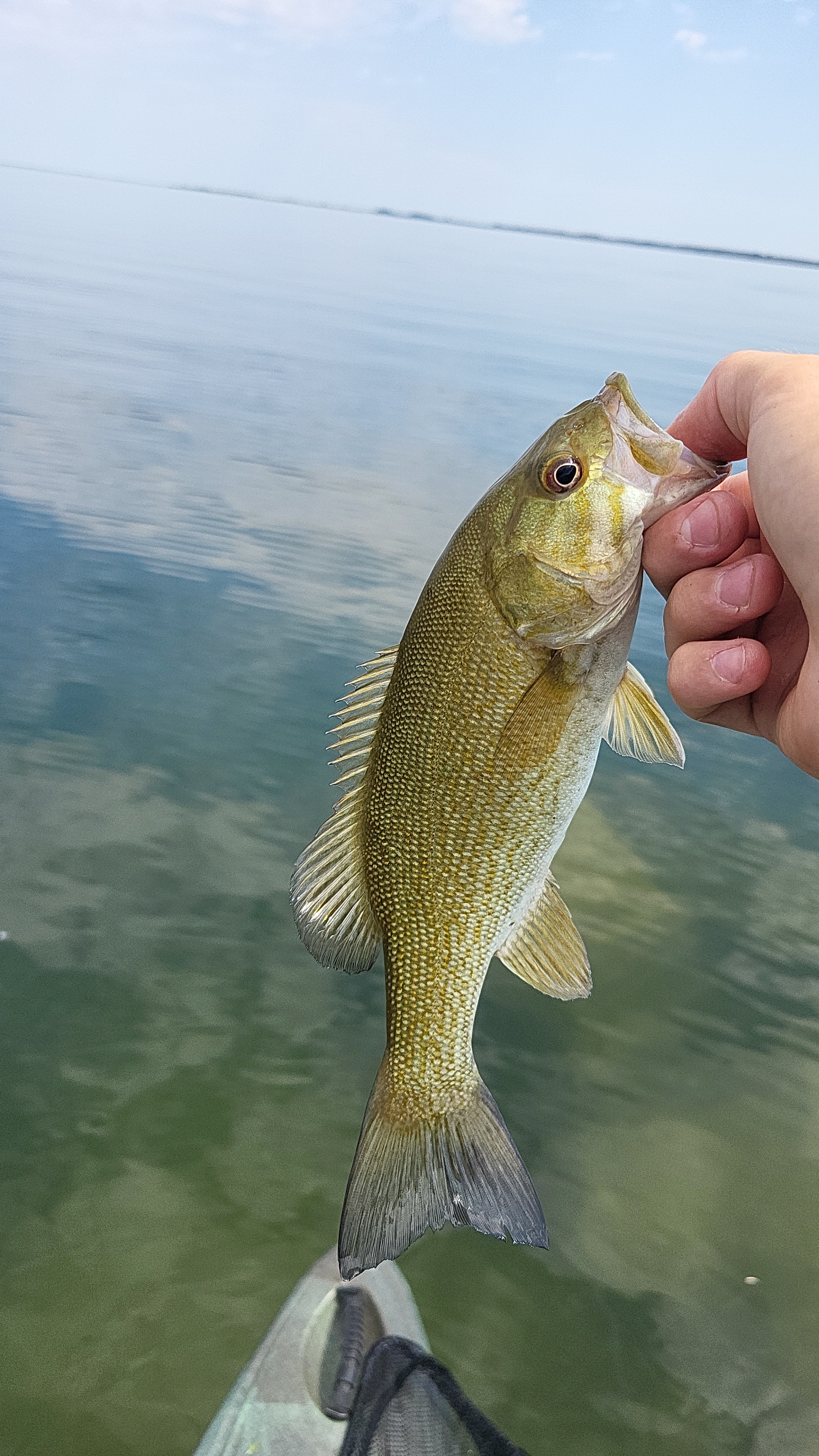Lake Sakakawea Fishing Reports | Omnia Fishing