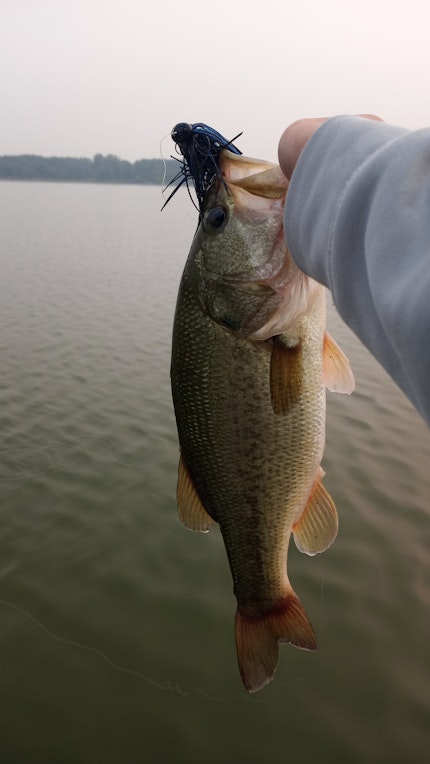 Green Valley Lake Fishing Report for Largemouth Bass(Oct 19, 2023)