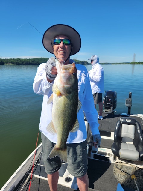 Chickamauga Lake Fishing Reports | Omnia Fishing