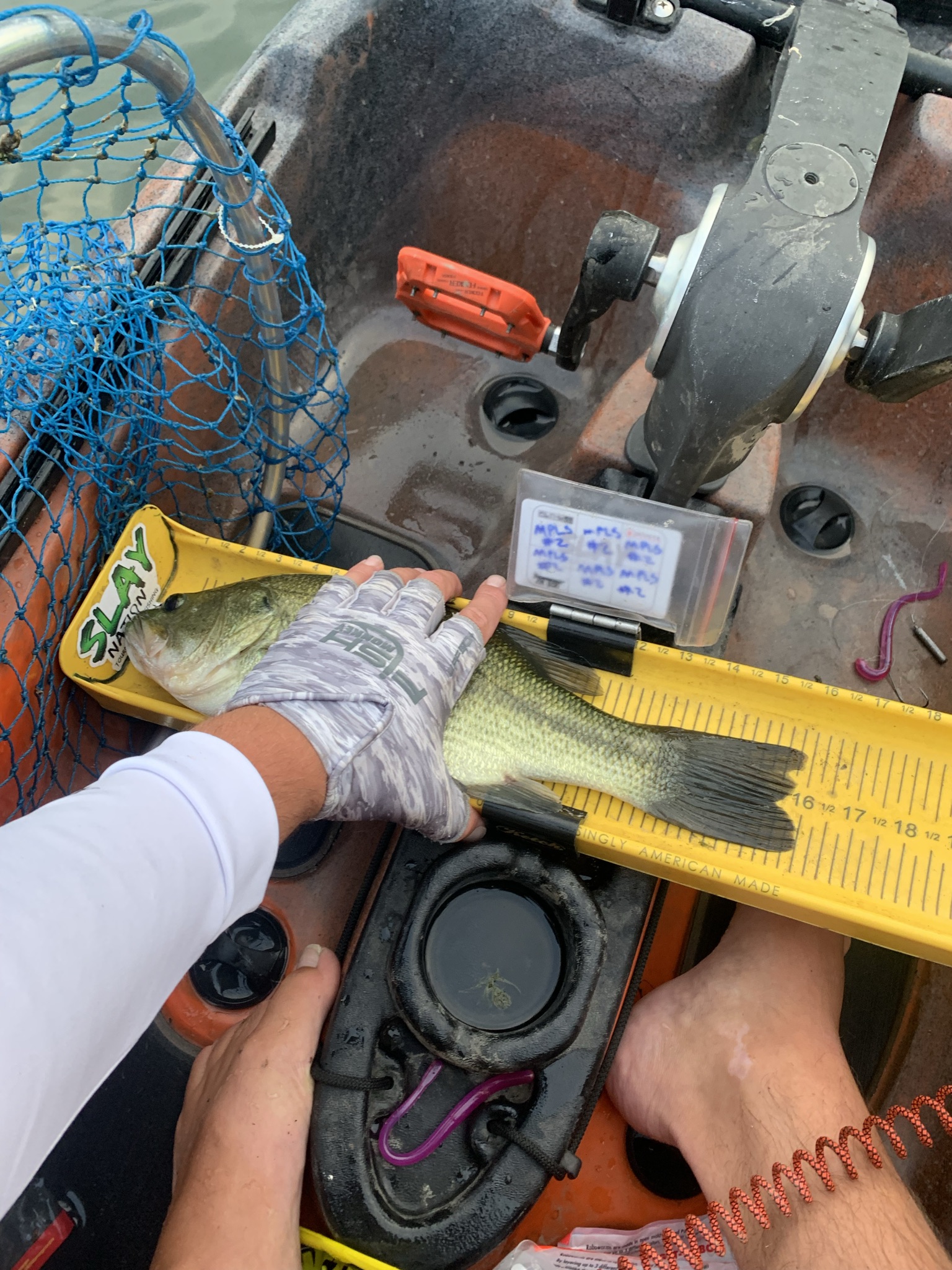 Bde Maka Ska Fishing Report for Largemouth Bass(Jul 24, 2021)