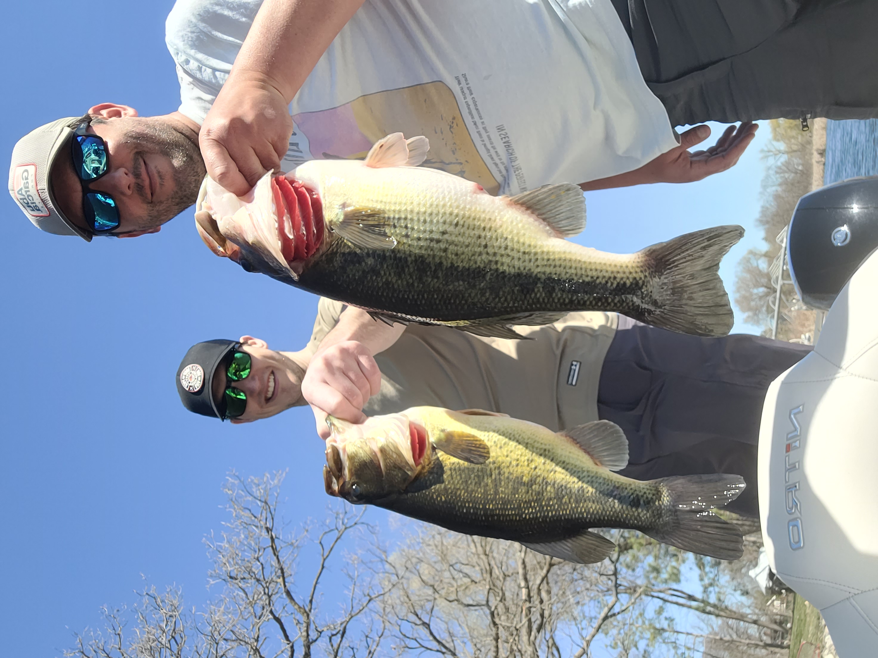 Lake Independence Fishing Reports | Omnia Fishing