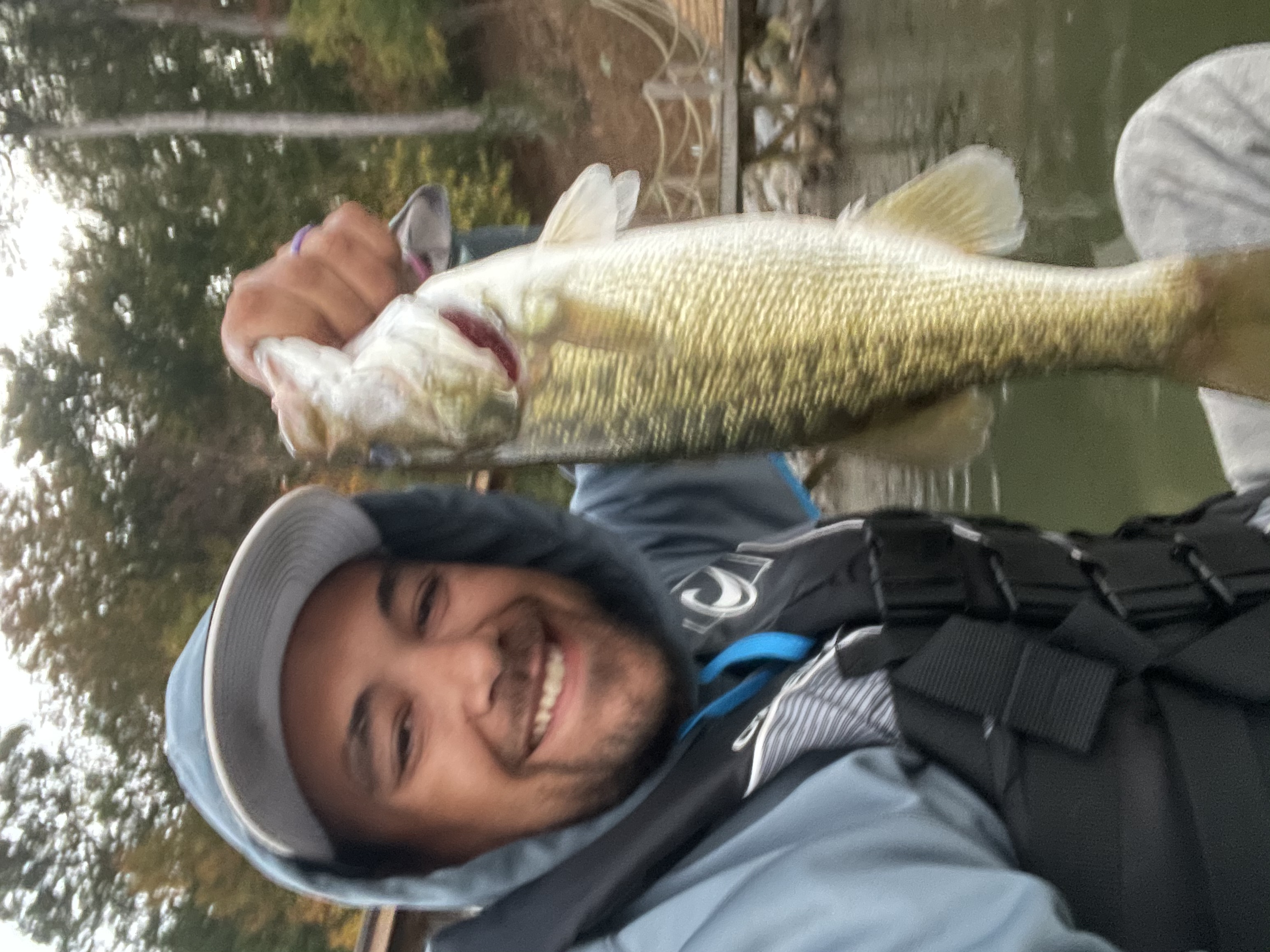 Lake Norman Fishing Report for Spotted Bass(Nov 1, 2021)