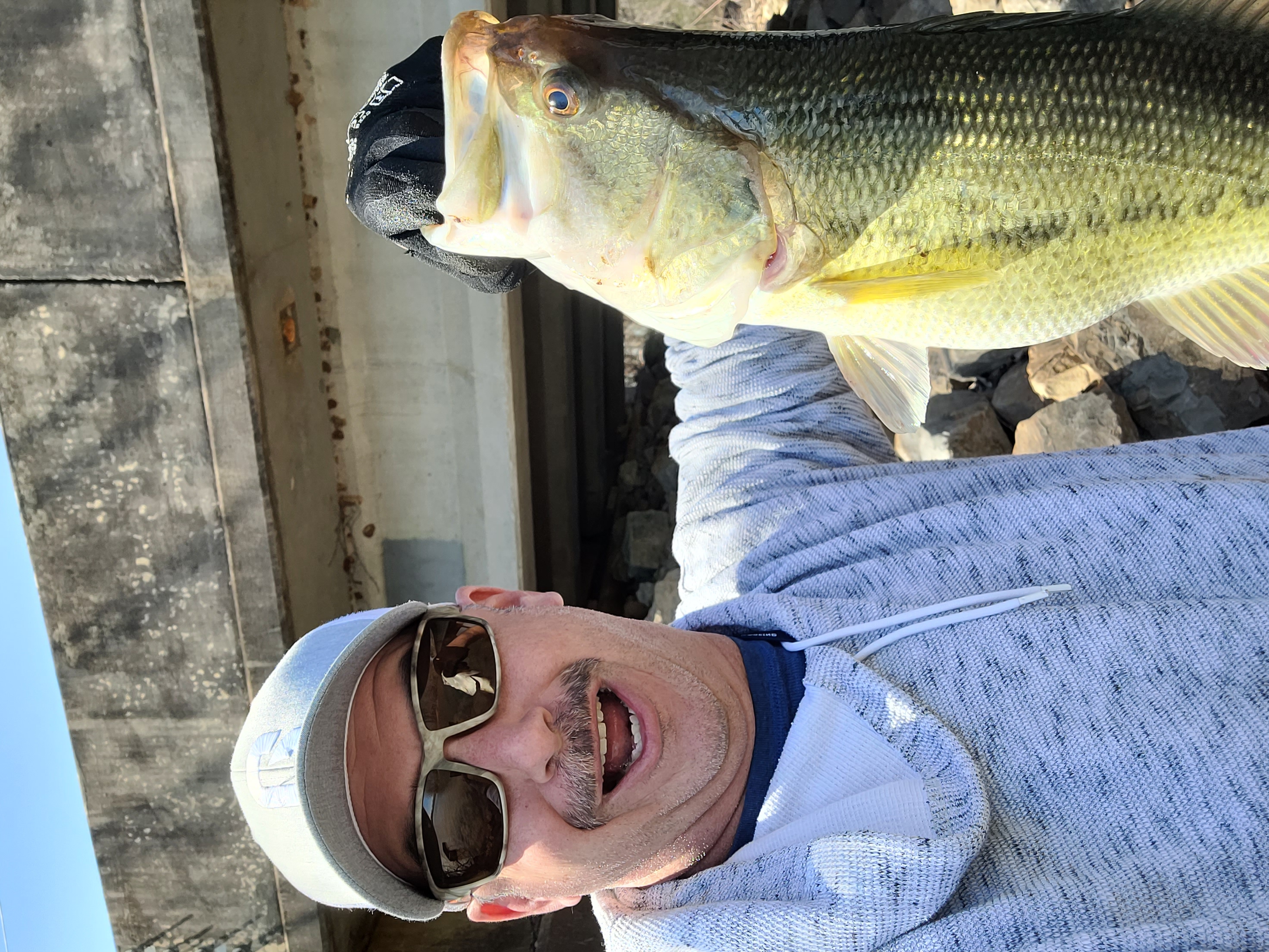 Wheeler Lake Fishing Report for Largemouth Bass(Mar 14, 2022) Omnia