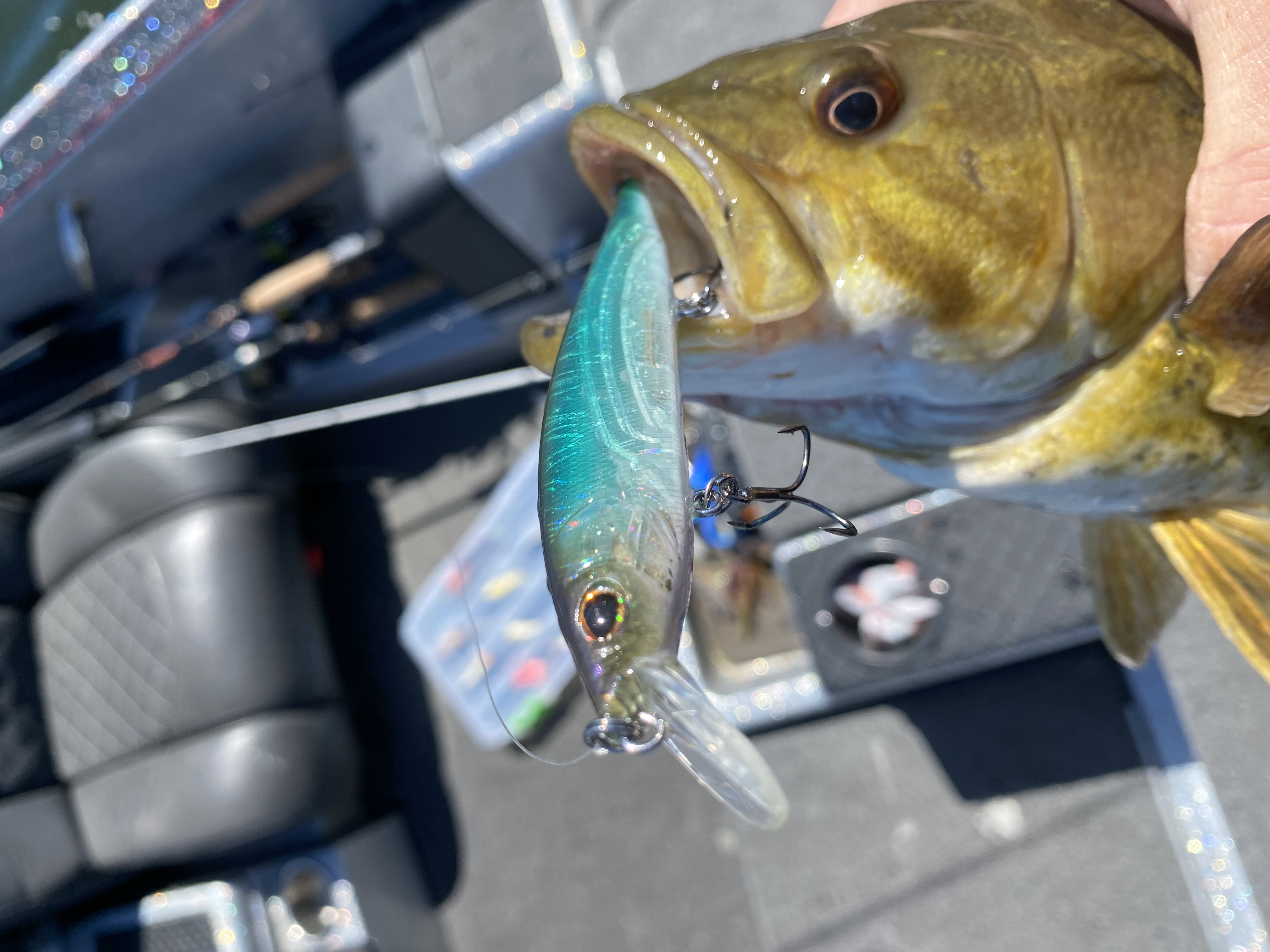 Conesus Lake Fishing Report for Largemouth Bass(Apr 13, 2022) Omnia