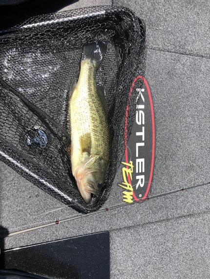 Berkley PowerBait MaxScent Hit Worm - Green Pumpkin