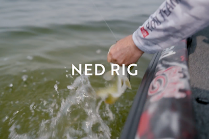 Ned Rig Fishing with Kevin Vandam
