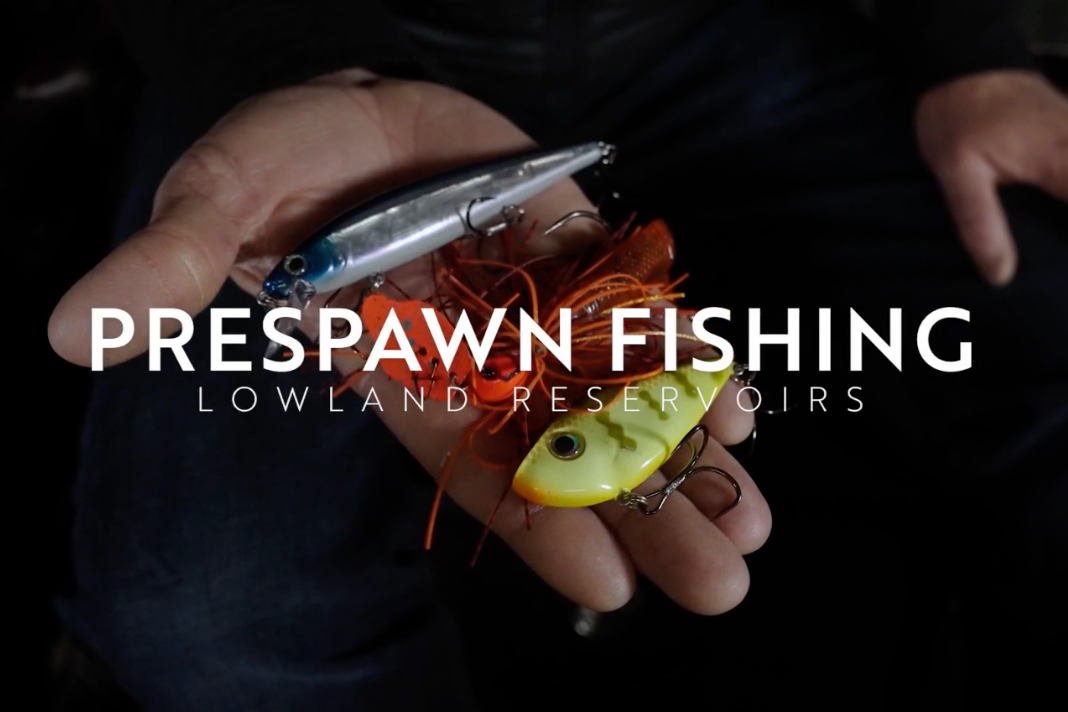 KVD's Prespawn Fishing Favorites