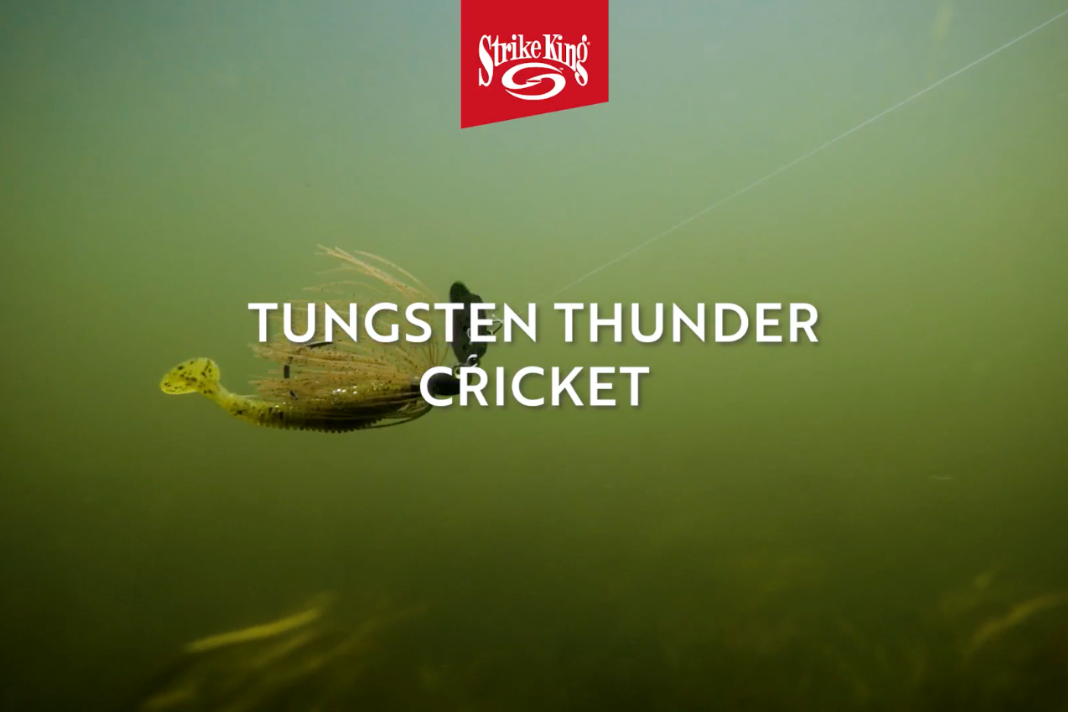 Strike King Tungsten Thunder Cricket