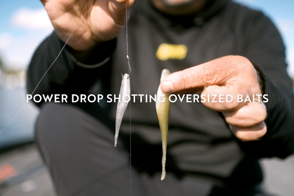 Power Drop Shotting Oversized Baits - Mark Zona