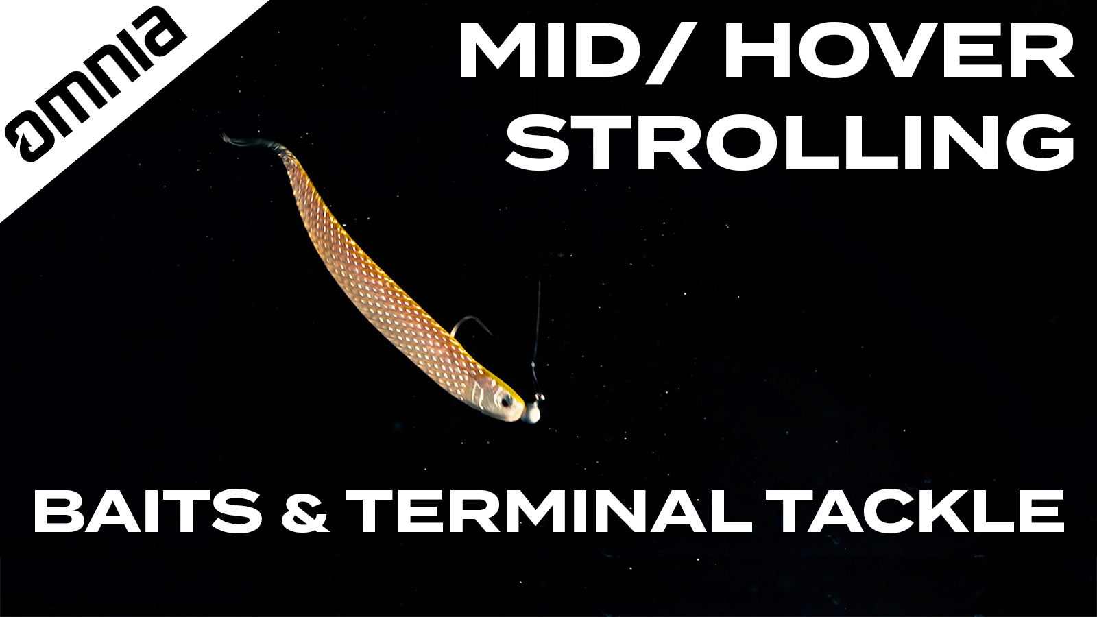 Z-Man Scented Jerk ShadZ | Omnia Fishing