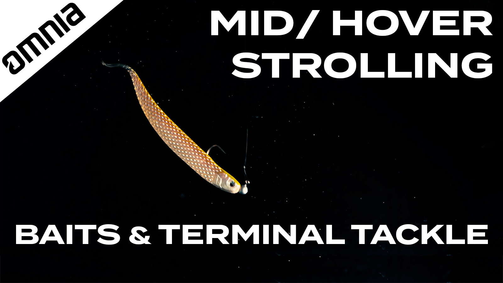 Hover/ Mid Strolling 101: Baits and Terminal Tackle