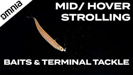 Hover/ Mid Strolling 101: Baits and Terminal Tackle
