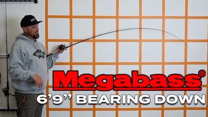 Megabass Orochi X10 / 6'9" / Medium Heavy / Fast