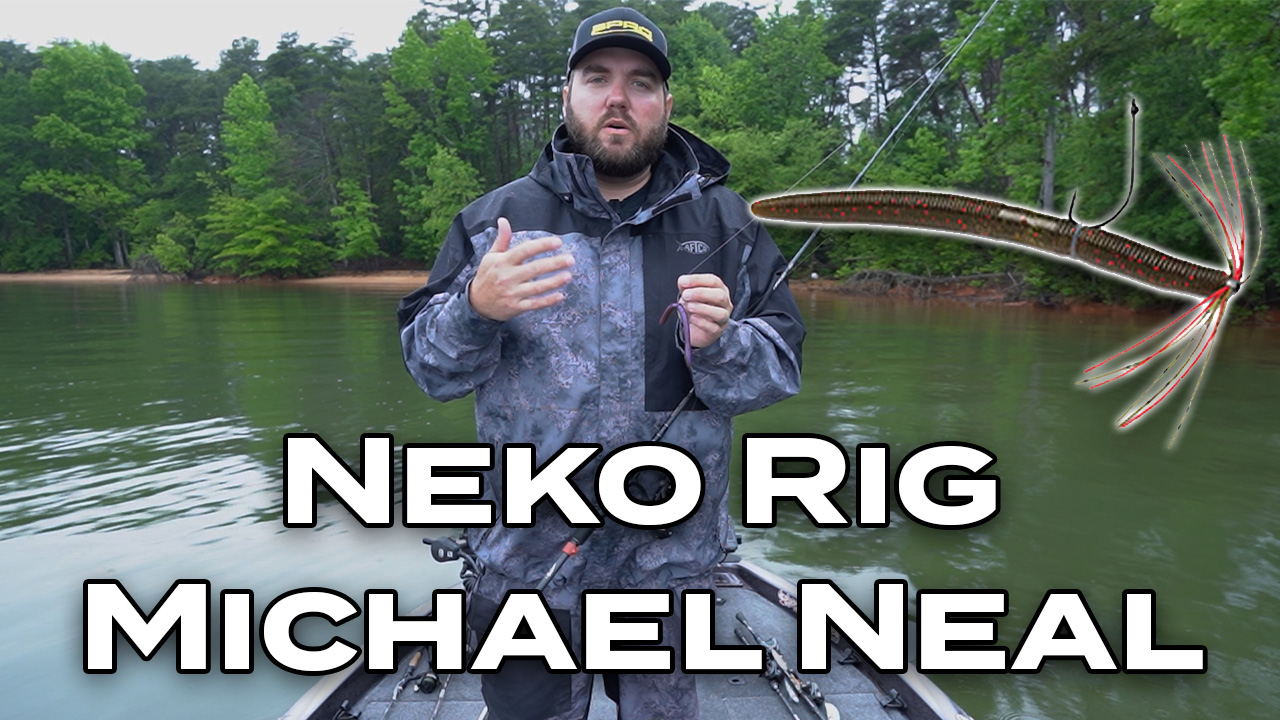 Neko Rigging With Michael Neal | Omnia