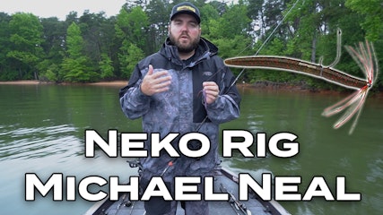 Neko Rigging With Michael Neal | Omnia