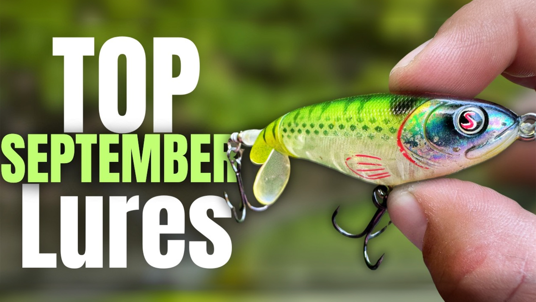 Top 3 Must-Have Lures for Bass Fishing in September | Simplify Your Strategy with These Proven Picks