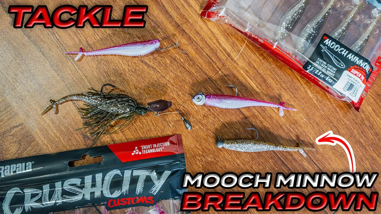 The MOST Popular Minnow On The Market | Tackle Breakdown