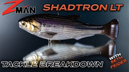 Tackle Breakdown Of The NEW Z-Man Shadtron | Seth Feider