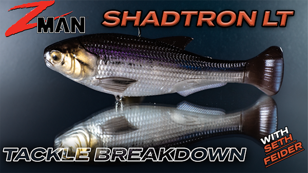 Tackle Breakdown Of The NEW Z-Man Shadtron | Seth Feider