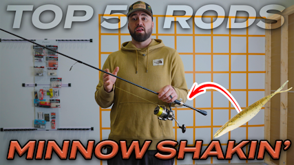 The BEST Minnow Shaking Rod At Every Price!