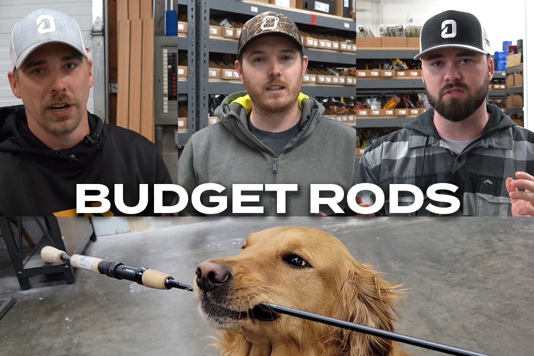 Staff Favorite Budget Rods