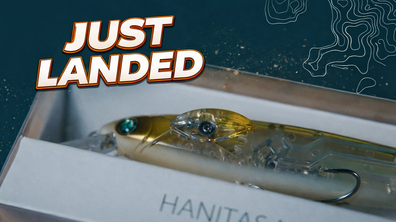 Just Landed at Omnia! | 1/22/26