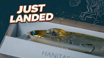 Just Landed at Omnia! | 1/22/26