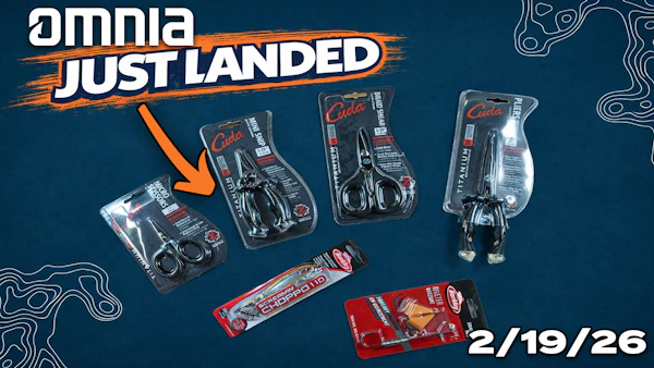 Just Landed at Omnia! | 2/19/26