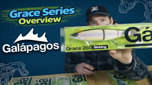 NEW Glide Baits! | Galápagos Grace Series