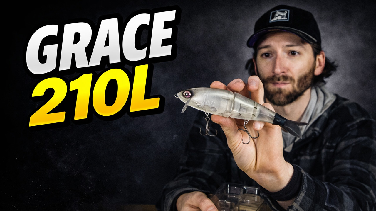 Galápagos Grace 210L Swimbait | Omnia Fishing