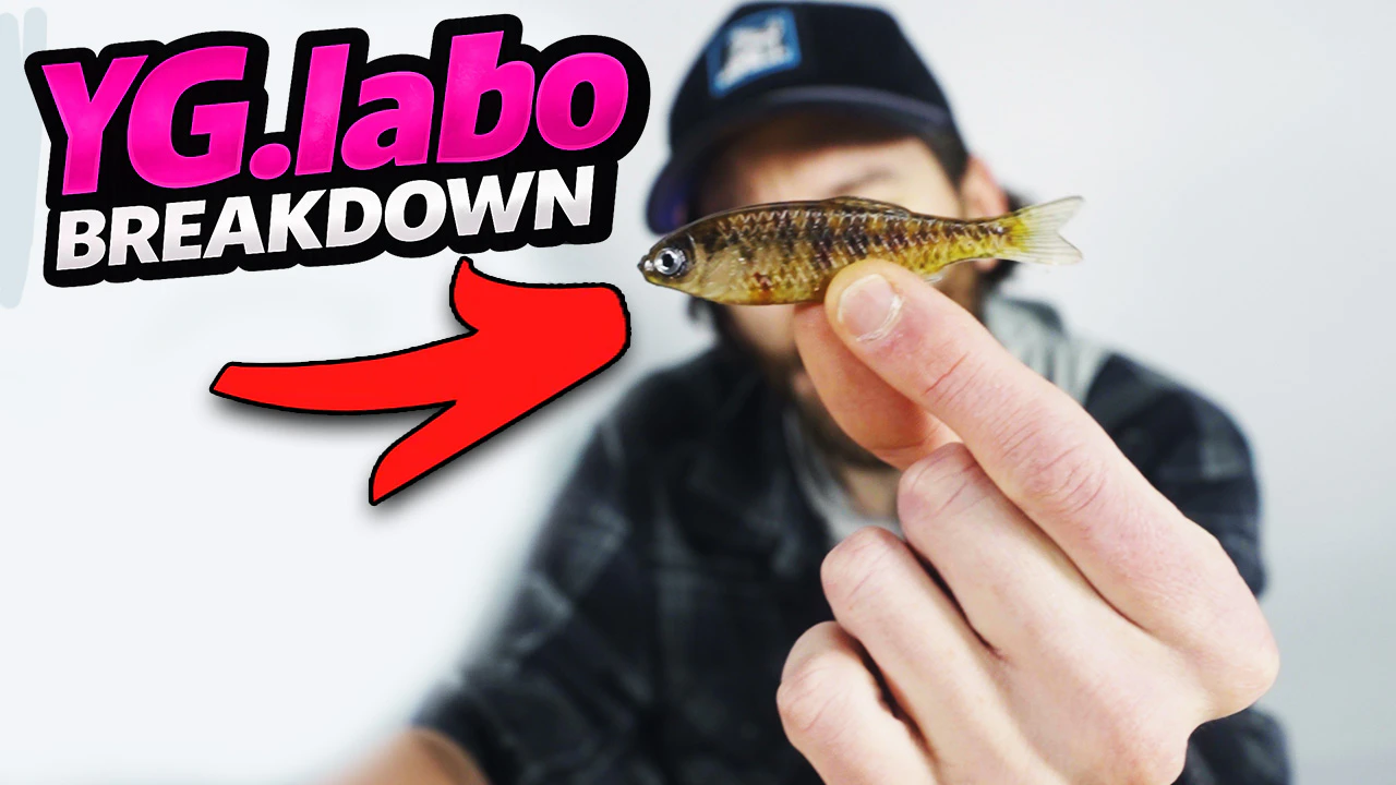 YG.labo Breakdown | New to Omnia