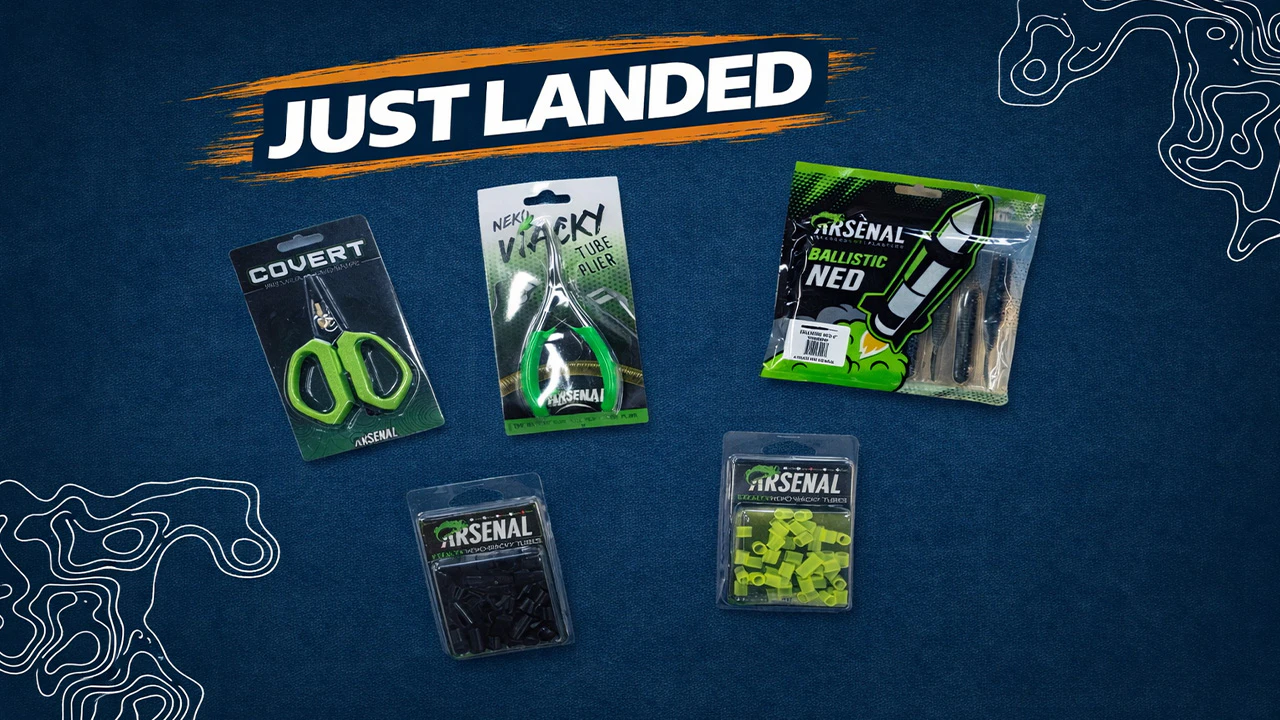 Just Landed at Omnia! | 3/18/26