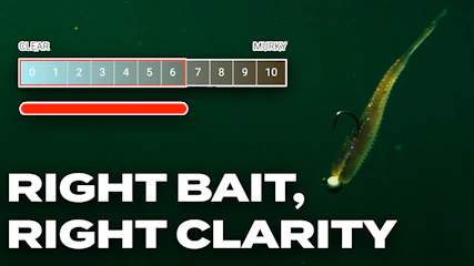 Feature Highlight: Water Clarity and Lure Colors