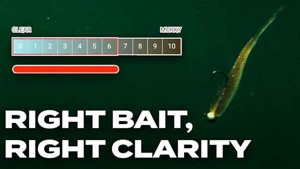 Feature Highlight: Water Clarity and Lure Colors