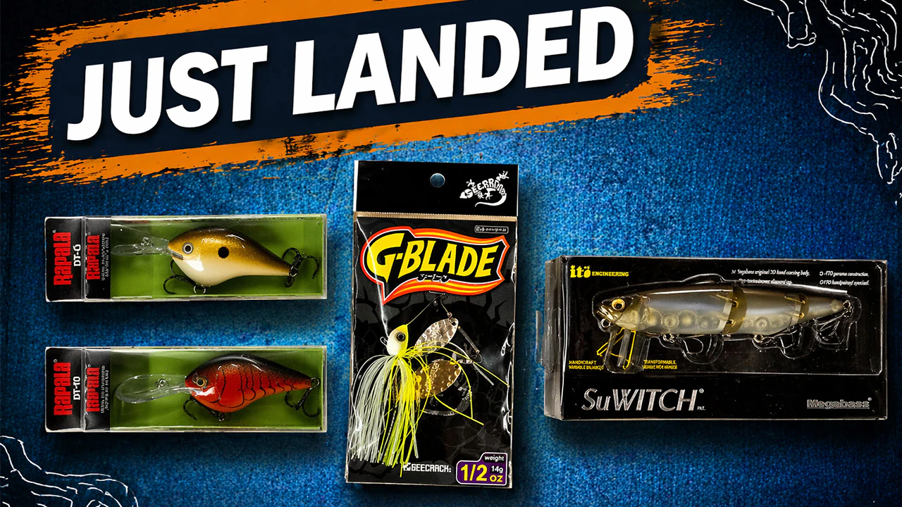 Just Landed at Omnia! | 4/10/26