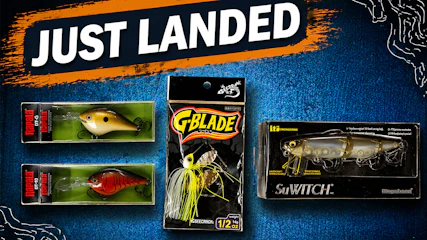 Just Landed at Omnia! | 4/10/26