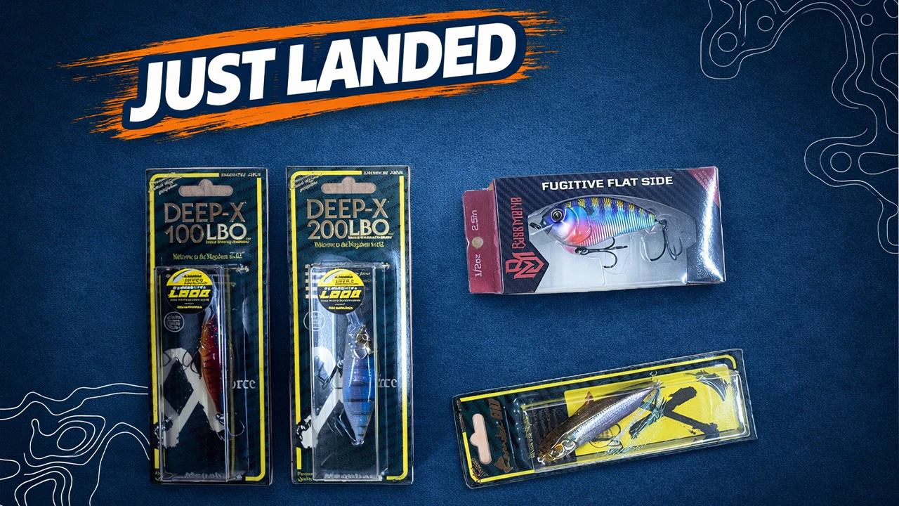 Just Landed at Omnia! | 4-17-26