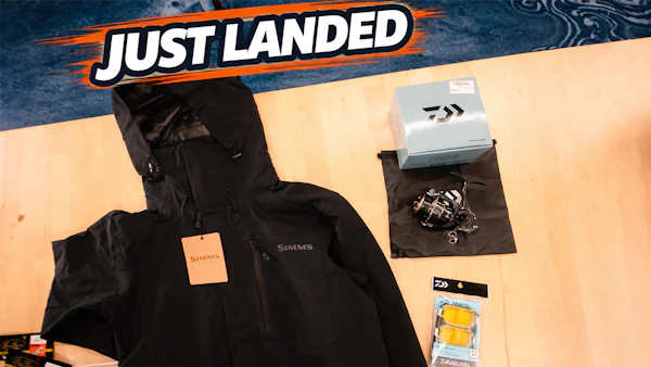 Just Landed at Omnia! | 4/24/26