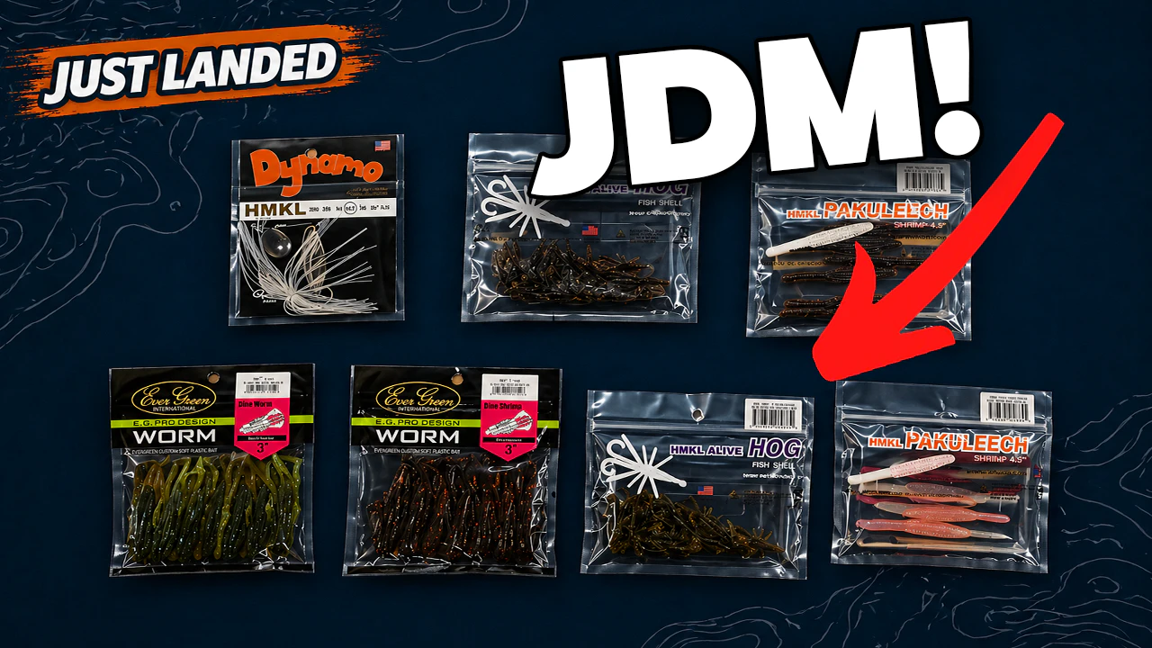 Just Landed at Omnia! | 5/1/26