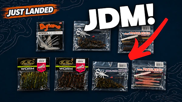 Just Landed at Omnia! | 5/1/26